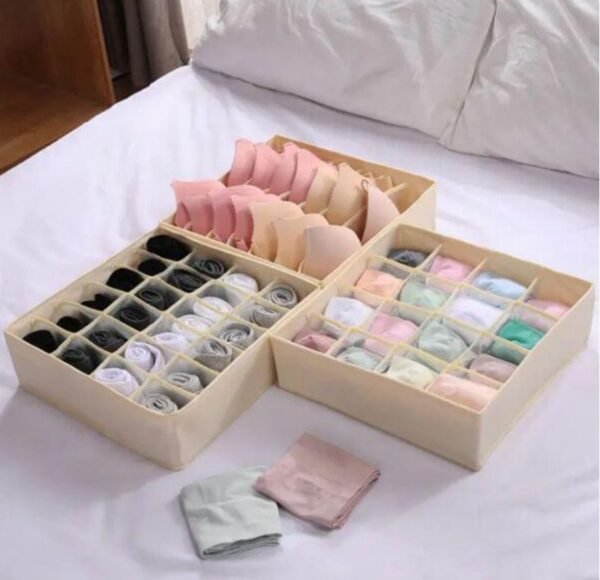 ORGANIZADOR DE ROPA INTERIOR ×4